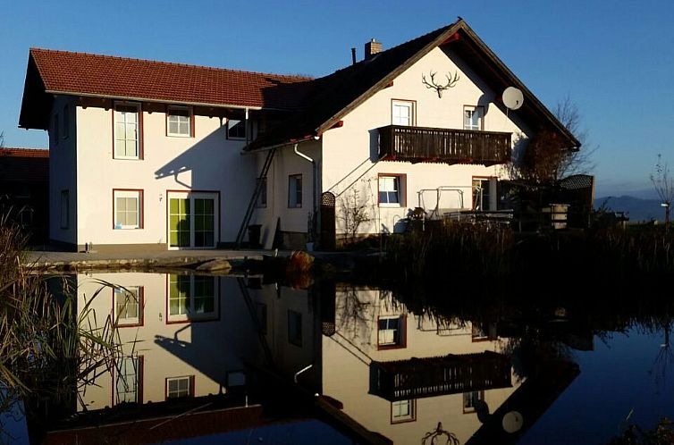 Appartement Wohnung in Haidmühle mit Terrasse und Garten