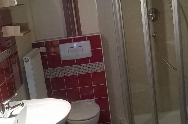 Appartement Wohnung in Haidmühle mit Terrasse und Garten