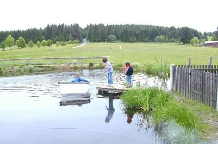 Appartement Wohnung in Haidmühle mit Terrasse und Garten