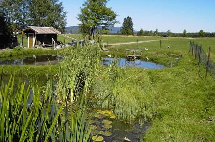 Appartement Wohnung in Haidmühle mit Terrasse und Garten