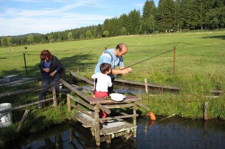 Appartement Wohnung in Haidmühle mit Terrasse und Garten