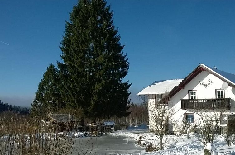 Guest house 03336220 - Apartment Bavaria - Appartement Wohnung in Haidmühle mit Garten und Grill