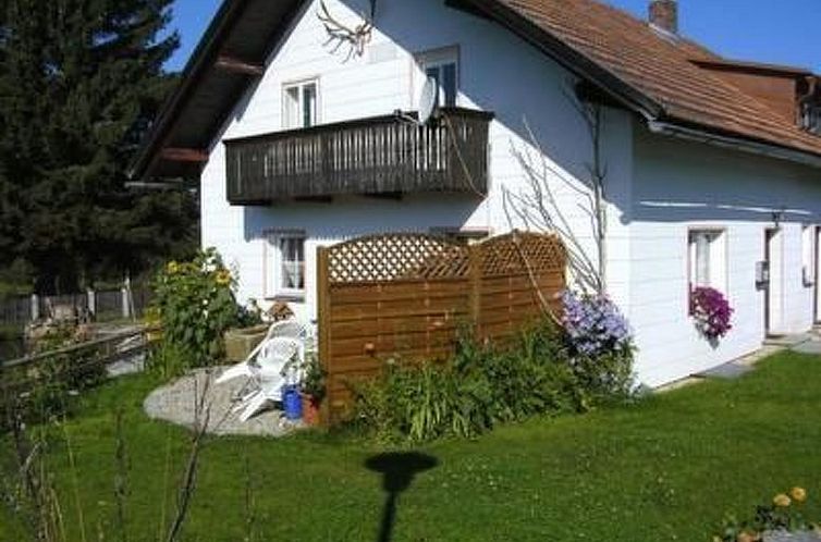 Appartement Wohnung in Haidmühle mit Garten und Grill