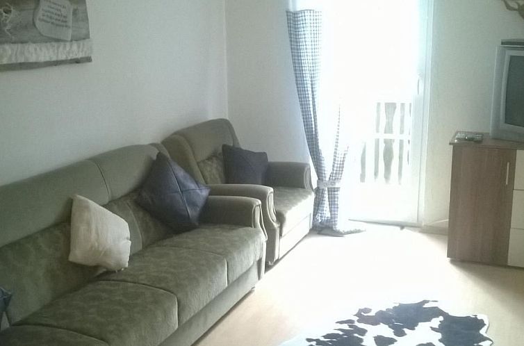 Appartement Wohnung in Haidmühle mit Garten und Grill