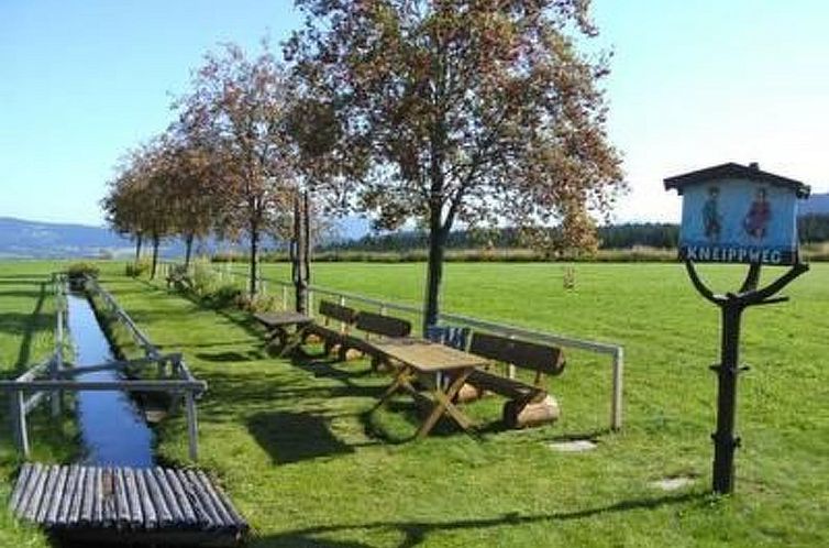 Appartement Wohnung in Haidmühle mit Garten und Grill