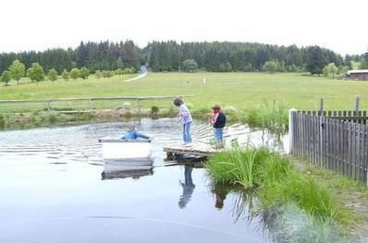Appartement Wohnung in Haidmühle mit Garten und Grill