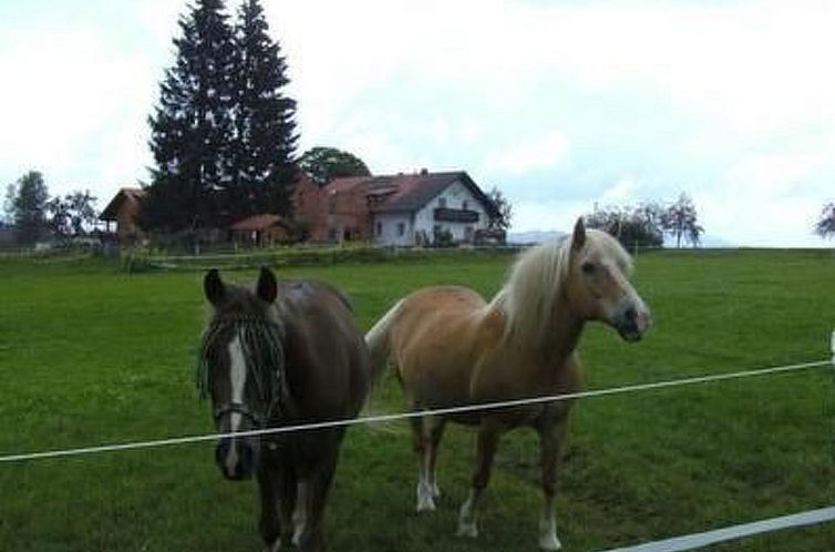 Appartement Wohnung in Haidmühle mit Garten und Grill
