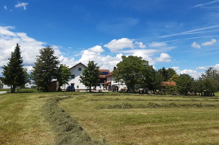 Vakantiehuis in Büchlberg