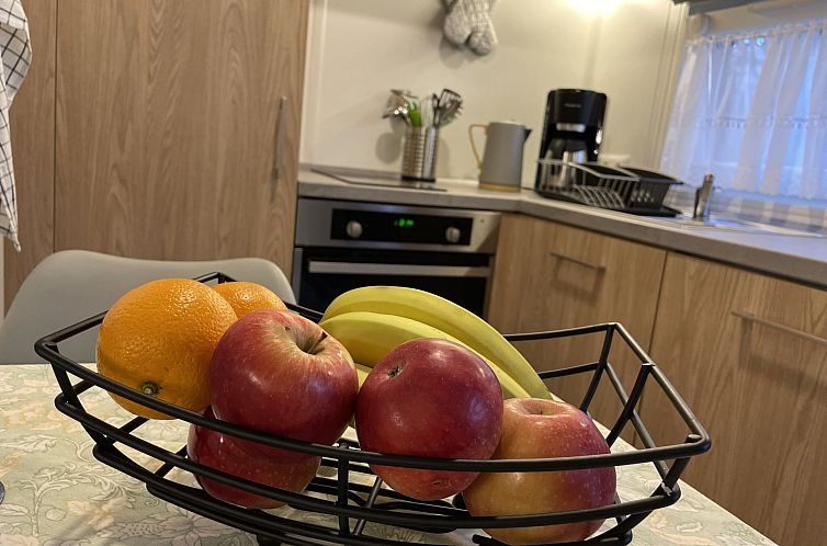 Vakantiehuis Tiny Haus Alex