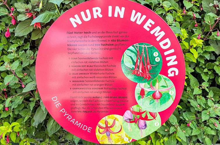 Vakantiehuis Tiny Haus Tiny Moments