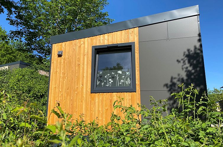 Vakantiehuis Tiny Haus Waldsee Lodge