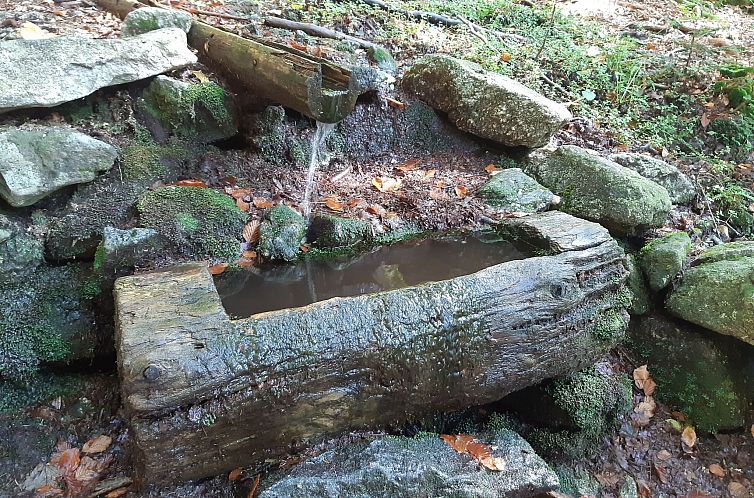 Vakantiehuis AnNo Wohlfühlplatzl