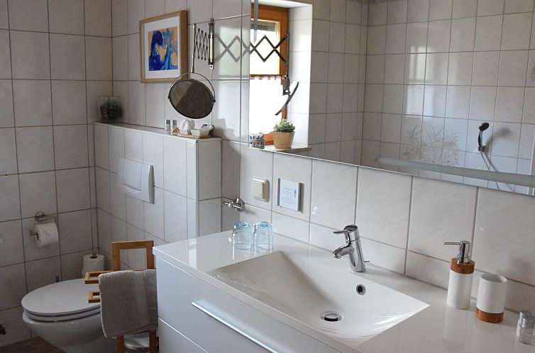 Appartement Wohnung Wiesengrund - Tradition trifft Moderne