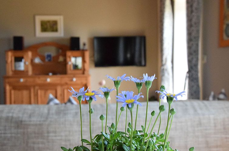 Appartement Charmant trifft Moderne - Ferienwohnung Linde