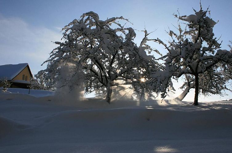 Appartement Fewo Altes Schulhaus