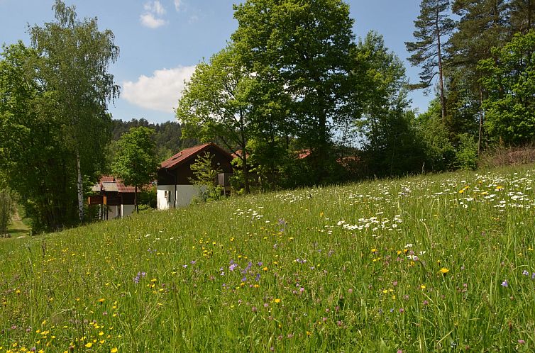 Appartement Gemütliche Wohnung in Berghäuser mit Kleinem G