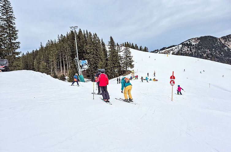 Vakantiehuis Tiny Haus Glockenalm-Haus Sissi
