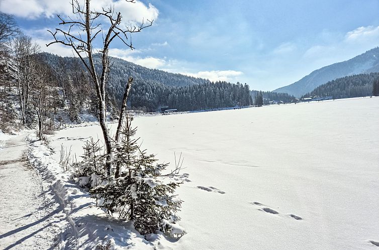 Vakantiehuis Tiny Haus Glockenalm - Sunny Place