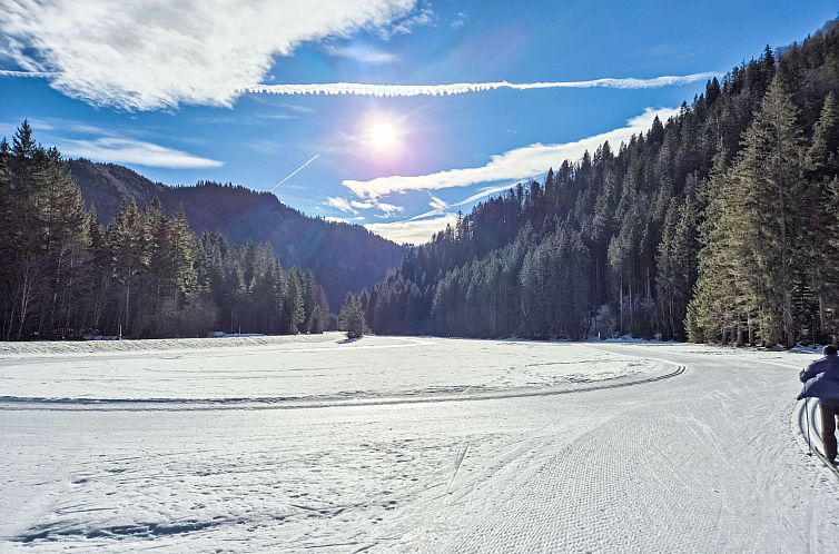 Vakantiehuis Tiny-Haus Glockenalm-Alpenchalet Elli