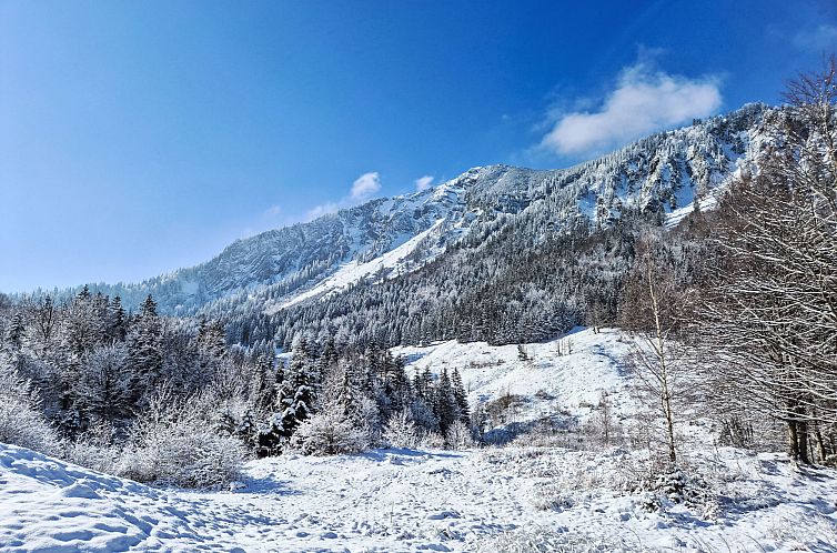 Vakantiehuis Tiny Haus Glockenalm-Hopfen Hütte