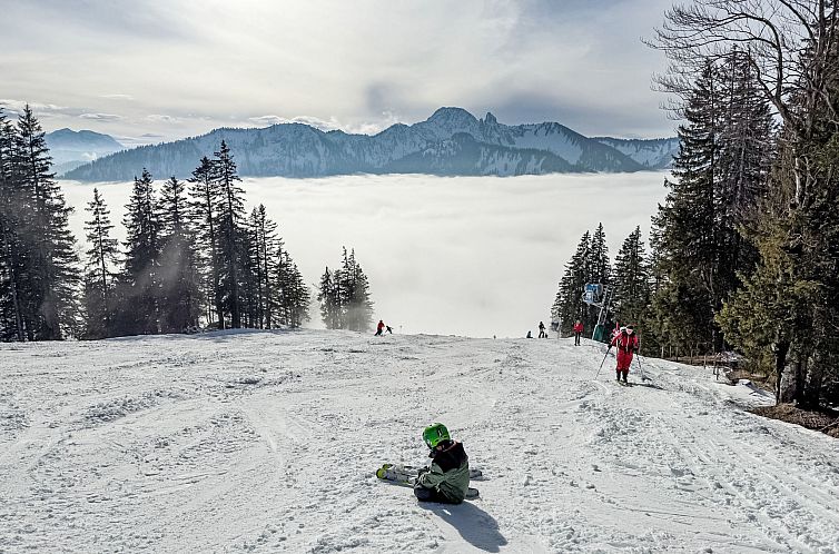 Vakantiehuis Tiny Haus Glockenalm-Chalet Lissi
