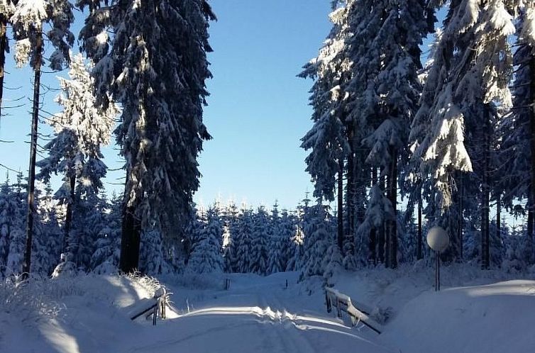 Appartement Idyllische Ferienwohnung mit Blick auf die Donau