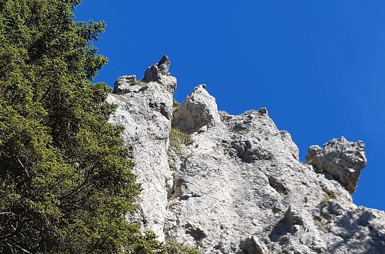 Appartement Gemütliche Ferienwohnung in Unterammergau