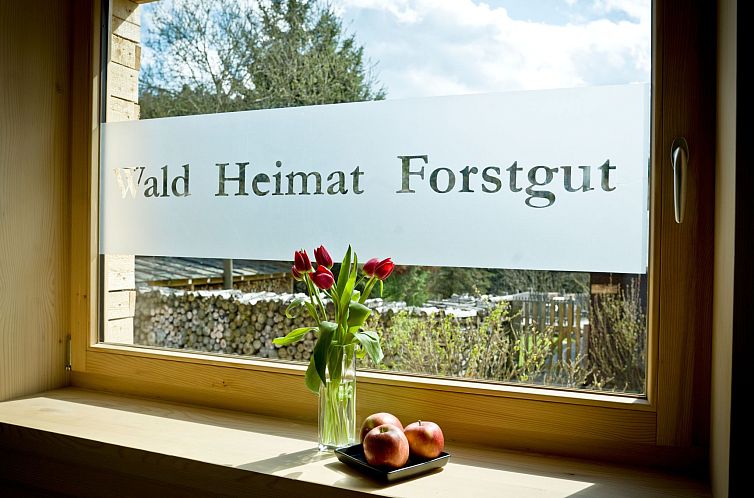 Vakantiehuis Chalet Försterei