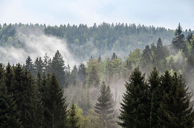 Appartement Exklusive Ferienwohnung mit eigener Sauna