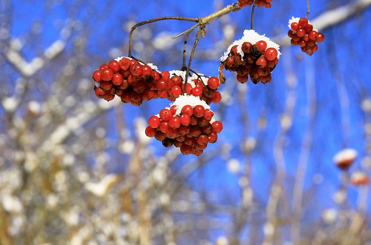 Appartement Exklusive Ferienwohnung mit eigener Sauna
