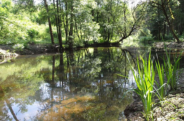 Appartement EXCLUSIVE FERIENWOHNUNG MIT EIGENER SAUNA