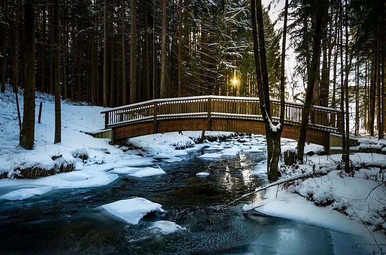 Appartement EXKLUSIVE FERIENWOHNUNG MIT EIGENER SAUNA