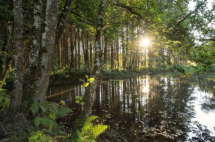 Appartement EXKLUSIVE FERIENWOHNUNG MIT EIGENER SAUNA