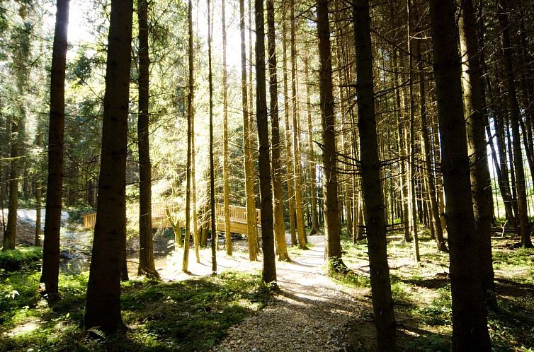 Appartement Exklusive Ferienwohnung mit eigener Sauna