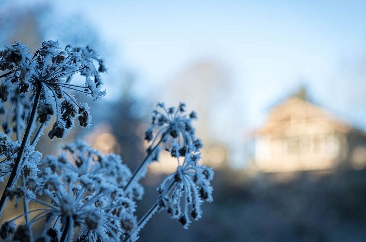 Vakantiehuis FORSTGUT - Raum für wertvolle Zeit