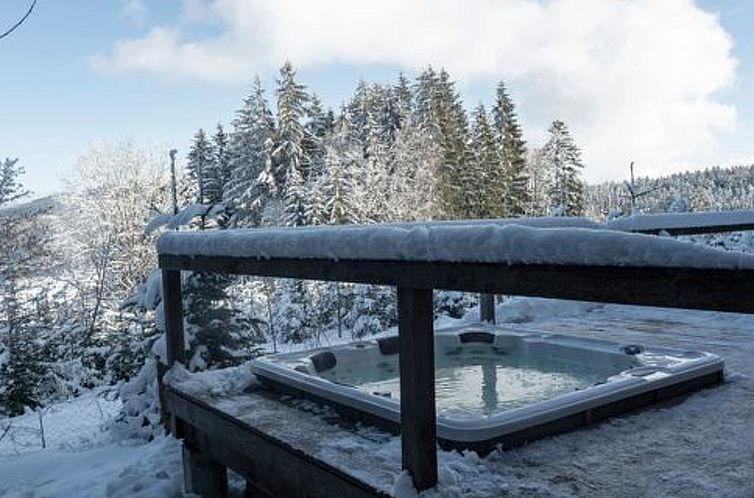 Appartement Luxuschalet - altes Bauernhaus mit private Spa