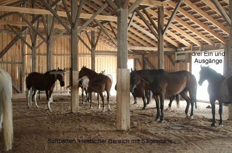 Appartement mit sonniger Terrasse und Ausblick