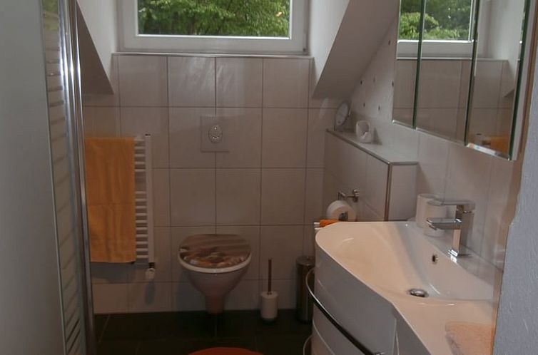 Huisje in Zachenberg