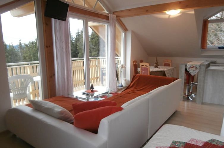 Huisje in Zachenberg