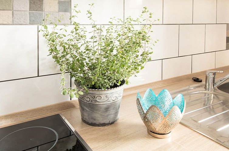 Vakantiehuis in Riedering