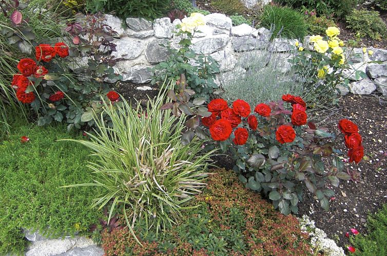 Appartement am Rosengarten