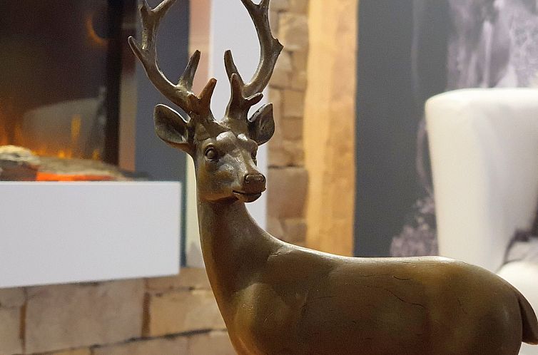 Appartement Ruhige-Ferienwohnung mit Süd Balkon in Zentrum