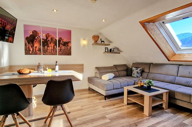 Appartement Apartment Nr.1