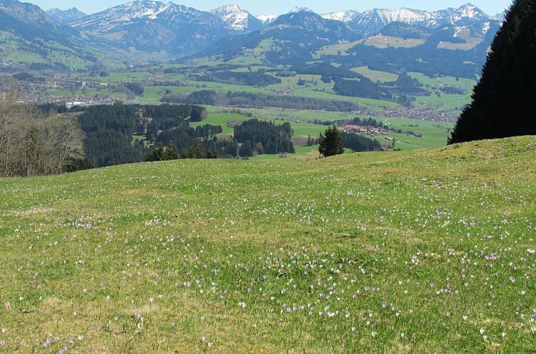 Appartement mit Hallenbad