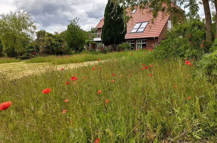 Appartement Schwalbennest