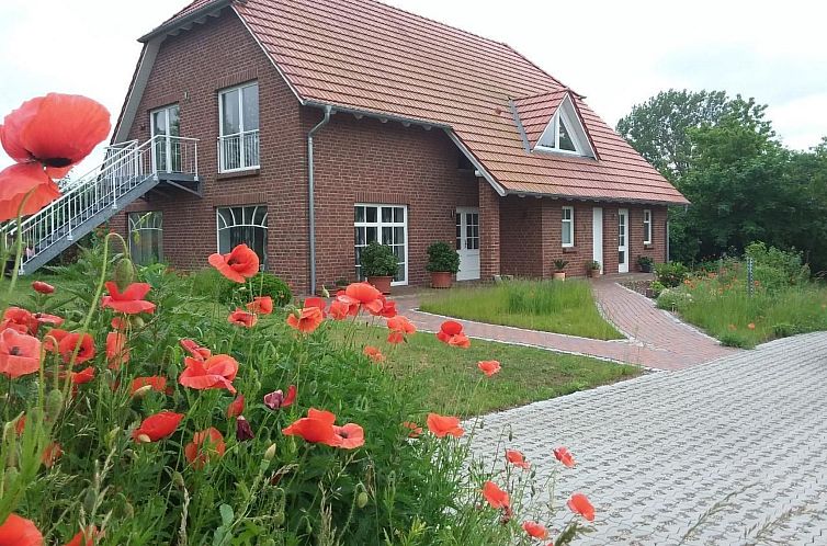 Appartement Schmetterling