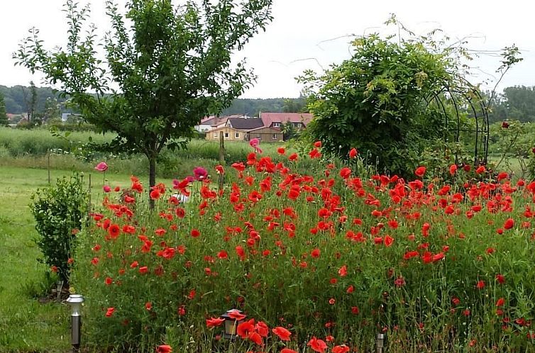 Appartement Schmetterling