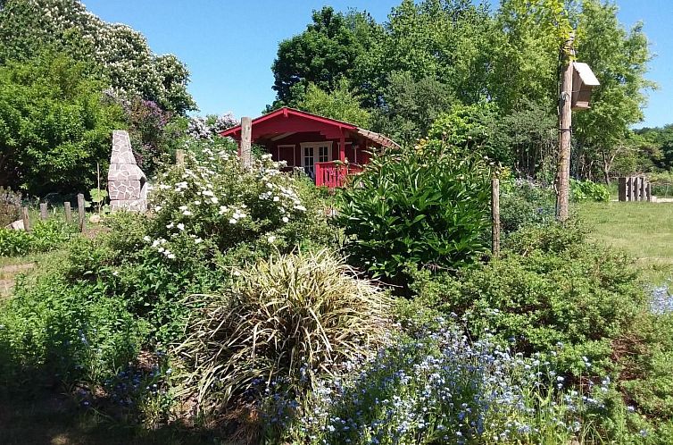 Appartement Schmetterling