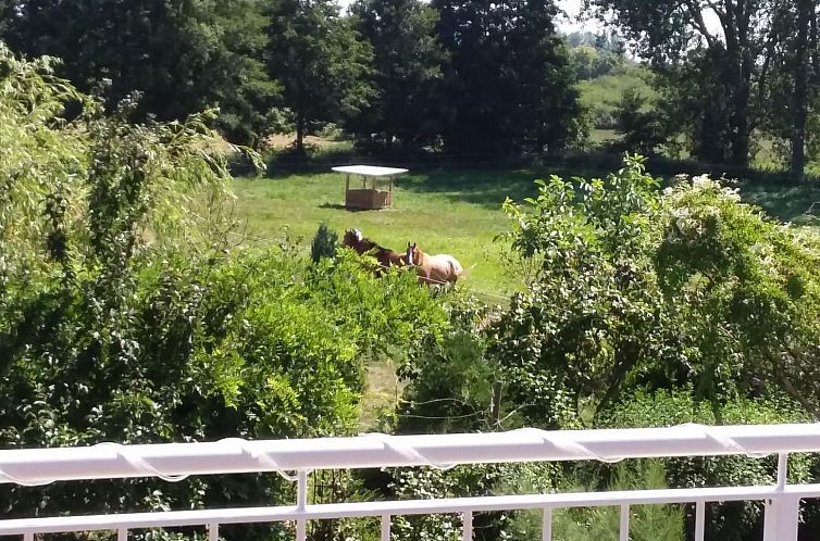 Appartement Schmetterling