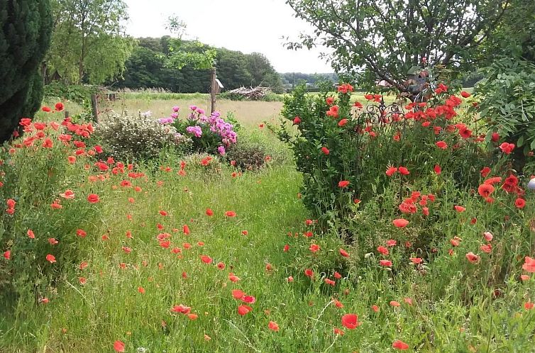 Appartement Schmetterling
